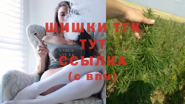 сатива Арсеньев