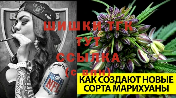 сатива Арсеньев