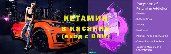 сатива Арсеньев