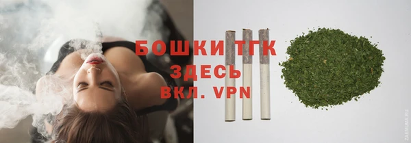 сатива Арсеньев