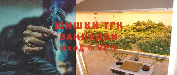 сатива Арсеньев