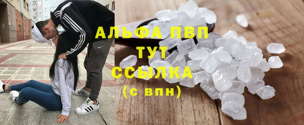 сатива Арсеньев