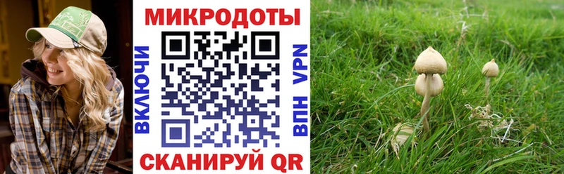 Галлюциногенные грибы мухоморы  Дзержинский 